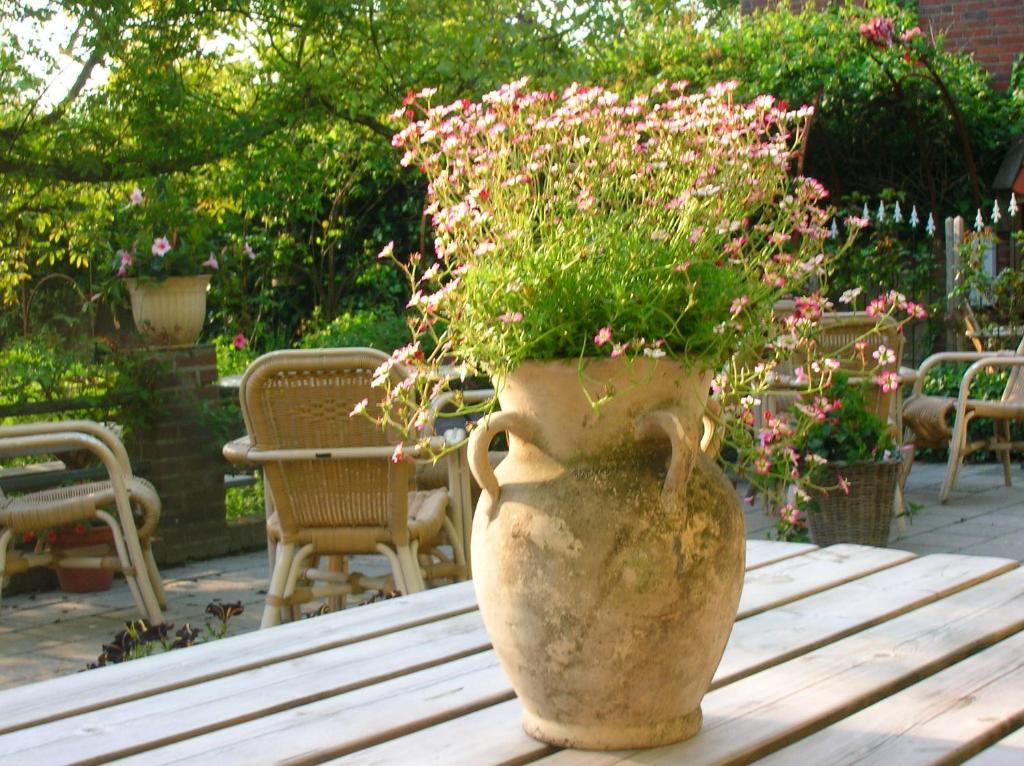 Bed and Breakfast Door & Roos Lottum Zewnętrze zdjęcie